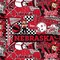 Licensed NCAA University of Nebraska Pop Art NE-1165 Cotton Fabric by the Yard